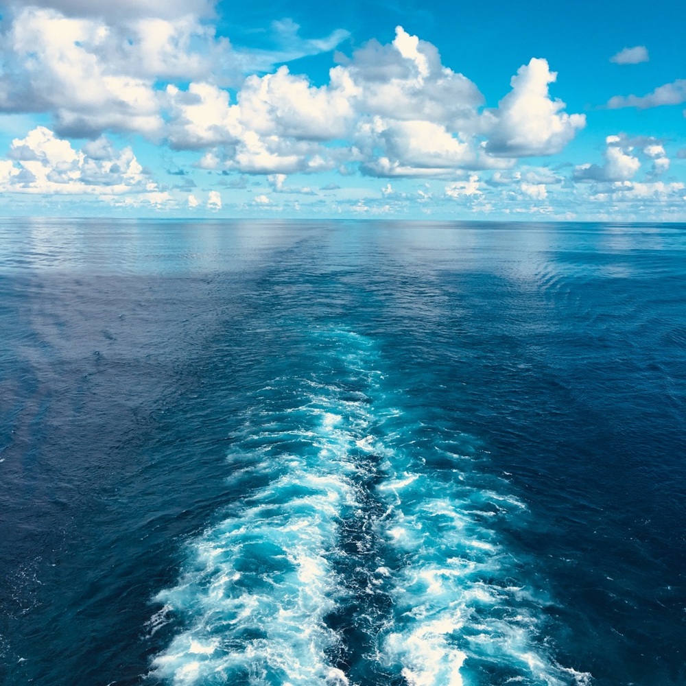 Meet your Posher, Krista